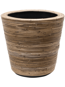 Drypot Rattan Stripe